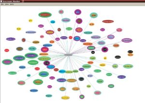 Abbildung 6: In der Sternansicht von Icemon sind alle beteiligten Rechner zu sehen. Die Ellipsen um die Hosts herum zeigen deren Auslastung an. In diesem Modus hat der Anwender eine optimale Übersicht.