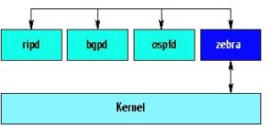 Abbildung 7: Der zentrale »zebra«-Daemon aktualisiert die Routing-Tabellen im Kernel und gibt die Routing-Informationen zwischen den einzelnen Protokoll-Daemons weiter.