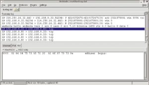 Abbildung 7b: Dieses IP-Fragment enthält keinen TCP-Header, dafür einige Ascii-Zeichen. Vermutlich interpretiert der Empfänger den Inhalt als Shellskript.