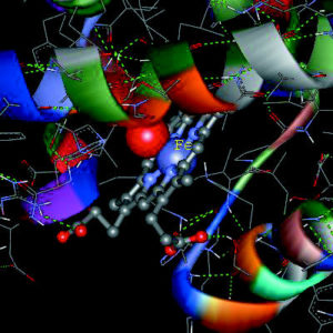 Abbildungen 4 und 5: Neben der Teilchenpyhsik ist die Modellierung von Biomolekülen und Pharmaka eine zukunftsträchtige Anwendung des GRID-Computings. Links Hämoglobin, rechts Viagra.