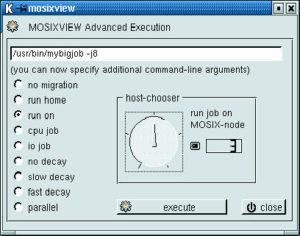Abbildung 3: Der Advanced-Execution-Dialog startet Programme im Cluster und gibt ihnen die passenden Parameter mit auf den Weg.