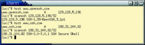 Abbildung 2: Scanssh untersucht in diesem Beispiel, welche SSH-Versionen das OpenSSH-Projekt und die Firma SSH Communications Security auf ihren eigenen Webservern einsetzen.
