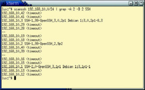 Abbildung 1: Das Hilfsprogramm Scanssh durchsucht das Subnetz 129.168.10.0/24 nach SSH-Servern und gibt jeweils die exakte Version aus.