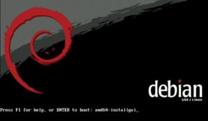 Abbildung 1: Der Bootprompt ist die Anlaufstelle vor der Installation. Hier geben Sie dem Kernel und dem Installer die Plattform, Installationsmethode und bedarfsweise auch andere Optionen mit auf den Weg.