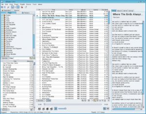 Abbildung 2: Atunes präsentiert sich nicht nur ansehnlich, es bietet auch alle Funktionen, die der Anwender von einem ausgewachsenen Musicplayer erwartet.