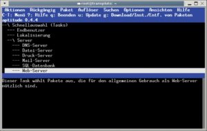 Abbildung 6: Die von den Debian-Entwicklern gebündelten Softwaregruppen, auch Tasks genannt, vereinfachen dem Installateur die Auswahl &ndash; hier in Aptitude.