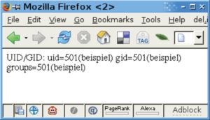 Abbildung 1: Der Browser bringt es an den Tag: Das CGI-Skript läuft mit der über Suexec eingestellten User- und Gruppen-ID.