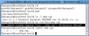 Abbildung 2: Setzt der Server-Administrator das Immutable-Flag des PHP-Interpreters, kann auch der Eigentümer die Datei nicht mehr verändern.