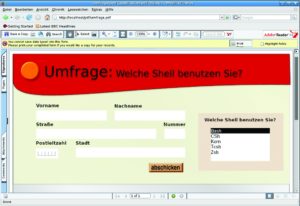 Abbildung 1: PDF-Formulare bieten weit bessere grafische Gestaltungsmöglichkeiten als HTML-Forms. Der kostenlose Adobe Reader verweigert zwar das Speichern des ausgefüllten Formulars, kann die Daten jedoch über HTTP an einen Server schicken.