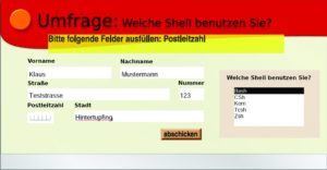 Abbildung 3: Hat der Benutzer ein Feld leer gelassen, erzeugt der Server einen Warntext, den er via XFDF in das gelbe Feld lädt.