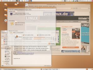 Abbildung 2: Compiz sorgt für Transparenz: Verdeckte Fenster scheinen im 3D-Desktop auf Wunsch durch.