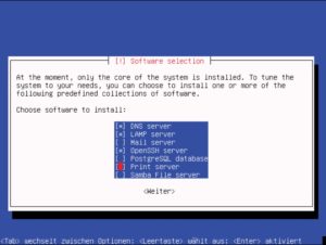 Abbildung 3: Nach der Installation legt der Administrator den Einsatzzweck des Servers fest. Das entspricht der Paketgruppen-Auswahl bei anderen Linuxen.