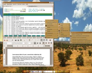 Abbildung 5: Stylische Optik, aber kaum weniger Speicherbedarf als Gnome: Der Enlightenment-Desktop in Geubuntu punktet lediglich in puncto CPU-Belastung gegenüber den großen Desktopumgebungen.