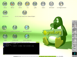 Grml 1.1 mit Fluxbox. Idesk stellt die Desktop-Icons dar. Rechts läuft Gkrellm. Diesen Desktop erhält man mit dem Kommando grml-x wm-ng.