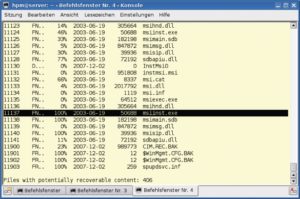 Abbildung 3: Ntfsundelete zeigt die gelöschten, aber wiederherstellbaren Dateien. In der ersten Spalte steht die für die Recovery notwendige Inode-Nummer im Dateisystem innerhalb der Imagedatei.