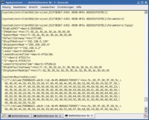 Abbildung 4: Dumphive stellt die Windows-Registry im Klartext dar. Suchwerkzeuge wie Grep helfen dann wichtige Einstellungen zu rekonstruieren. Typische Beispiele sind der Passwort-Hash oder IP-Daten.