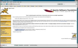 Abbildung 2: Nach der erfreulich unkomplizierten Installation zeigt Tomcat, so heißt die Referenzimplementierung des Java-Webservers der Apache-Foundation, einen Begrüßungsbildschirm mit Links zur Dokumentation und zu Beispielanwendungen.