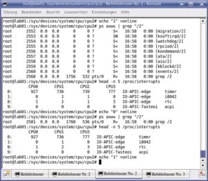Abbildung 3: Durch einfache Schreibzugriffe auf das Sys-Filesystem lassen sich per Kommandozeile einzelne Rechnerkerne aktivieren und deaktivieren. Die virtuelle Datei »online« steuert dies. Hier schickt der Admin eine Null an die CPU 2, die daraufhin ihre Kernelprozesse beendet und zusätzlich Interrupts auf die noch aktiven Kerne umleitet.