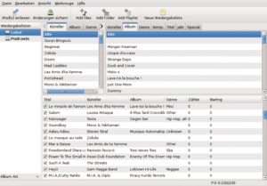 Abbildung 5: Gtkpod verwendet wie zahlreiche andere Linux-Programme Libgpod, um auf I-Pods zuzugreifen.