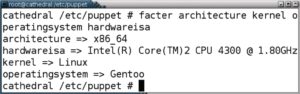 Abbildung 2: Das Ruby-Tool »facter« liefert unabhängig von Puppet Informationen über das System.