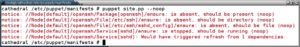 Abbildung 3: Puppet informiert mit der Option »--noop« über anstehende Änderungen und Aktivitäten, bevor es sie im System anwendet.