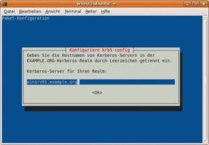 Abbildung 1: Der Ubuntu-Paketmanager fragt bei der Installation der Kerberos-Pakete nach dem Kerberos-Server.