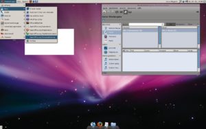 Abbildung 1: Die grafische Oberfläche von Mac OS X gilt manchem Linux-User als vorbildlich &ndash; Mac4Lin bringt sie inklusive des Mac-OS-Standardhintergrundbilds auf den Linux-Desktop.