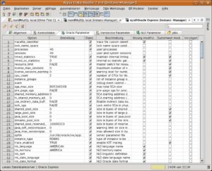 Abbildung 5: Hunderte Oracle-Server-Parameter zum Anklicken übersichtlich an einem Platz. Mit dem ADS ist für Entwicklung, Abfrage und Administration nur noch ein Werkzeug nötig.