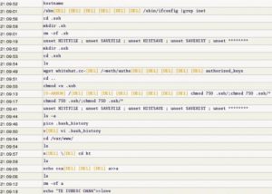 Abbildung 2: Sebek versteckt sich tief im Betriebssystem des Honeypot. Es protokolliert die Operationen des Angreifers und merkt sich zum Beispiel die Tastatureingaben.