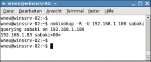 Abbildung 4: »nmblookup« fragt den Wins-Server 192.168.1.100 nach dem Netbios-Namen »sabaki«.