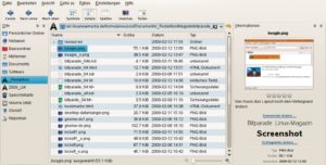 Abbildung 7: Semantik à la Web 2.0: Zusätzlich zur Verzeichnishierarchie gruppiert der KDE-4-Dateimanager Dolphin die Dateien nach vom Benutzer vergebenen Tags. Jede Datei kann mehrere davon erhalten.