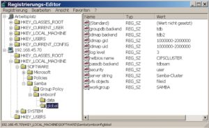 Abbildung 6: Mehr etwas für leidensfähige und eingefleischte Windows-Admins: Samba-3.2-Konfiguration bearbeiten mit dem Registry-Editor »regedit.exe«.