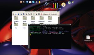 Abbildung 5: Flux-Flux verzichtet auf eine vollständige Desktop-Umgebung. Die Usability leidet, doch auf der Haben-Seite steht in der Eee-PC-Version eine perfekte Anpassung an die Hardware.