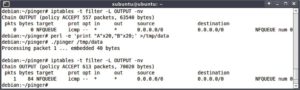 Abbildung 4: Ein Ping bei aktivem Beispielprogramm und passender IPtables-Regel erhöht den Paketzähler um 1. Auch das Programm »pinger« zeigt an, dass es ein Paket verarbeitet hat.