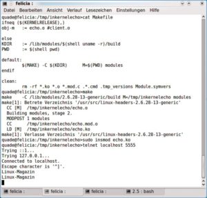 Abbildung 3: Nach dem Übersetzen und Laden lässt sich der Echo-Server mit »telnet« einfach testen.