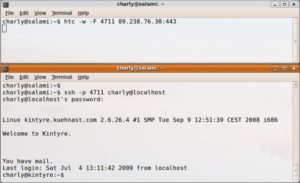 Abbildung 1: Charly legt im Frankreichurlaub einen Tunnel quer durch Firewalls, um im IRC über Quallenweitwurf berichten zu können.