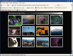 Abbildung 2: Die Photogalerie-Beispielanwendung [5] für Microsofts Silverlight funktioniert auch mit dem Mono-Pendant Moonlight problemlos.