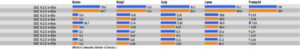 Abbildung 2: Fünf mit den beiden GCC-Versionen übersetzte Benchmark-Programme. Die meisten Verbesserungen sind kaum messbar. Beim Optimieren auf Programmgröße (»-Os«-Schalter) beseitigt GCC 4.3 die negativen Ausreißer der Vorversion.
