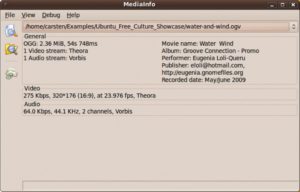 Abbildung 3: Mediainfo gibt Auskunft: Das Programm zeigt technische Details und zusätzliche Tag-Informationen von Video- und Audiodaten in Container-Dateien an.