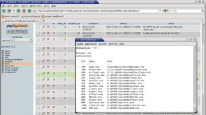 Abbildung 2: PHP Myadmin dokumentiert und präsentiert die Scanergebnisse der Langzeitverfolgung. Im Vordergrund die Meterpreter-Shell auf einem kompromittierten Windows.