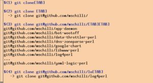 Abbildung 3: Hier ergänzt das Helferskript die Namen von Git-Repositories.