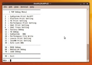 E Abbildung 4: Der Aufruf der versteckten Debugging-Informationen eröffnet ein potenzielles Reflashen per Exlink-Kabel.