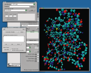 Abbildung 4: Ein in VMD dargestelltes Molekül von einem Protein. VMD kann direkt mit der Simulations-Software APBS zusammenarbeiten.