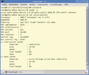 Abbildung 1: Der Root-Access auf dem Palm Pre klappt ganz offiziell übers SDK und die Applikation Novaterm.