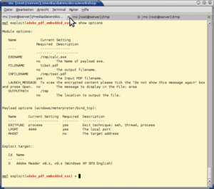 Abbildung 1: Das Feedback des Exploit liefert die eingegebenen Informationen inklusive des Namens der Exe-Datei und des PDF, in das diese eingebettet ist.