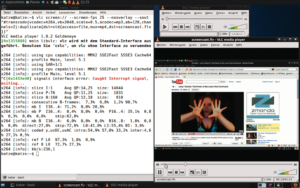 Abbildung 4: Streikt das GUI, steuert der Anwender VLC einfach über das Terminal. Hier gilt es allerdings zunächst, sich im Dschungel der Optionen zu orientieren.