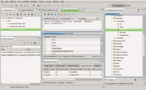 Abbildung 5: Der SQL Explorer setzt beim Datenbankzugriff nicht auf ein GUI, sondern auf einen leistungsfähigen SQL-Editor.