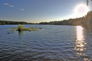 Abbildung 12: Erholung inklusive: Tampere liegt zwischen zwei riesigen Seen, wenige Kilometer außerhalb findet sich der Besucher in unberührter Natur.