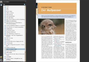 So sieht nach Meinung der Redaktion das Gesicht von Open IT Cockpit aus. Symbolisch jedenfalls.