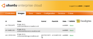 Abbildung 3: Hinter Ubuntus Enterprise Cloud steckt noch Eucalyptus. Ab 11.10 soll hier Open Stack werkeln.